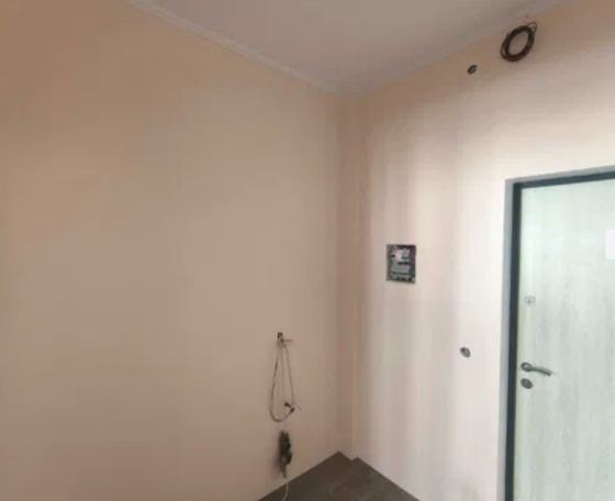 Продаж Квартира 1-кімнатна на ул. Николаевская, 3д Kryzhanivka (Shyriaivskyi raion)