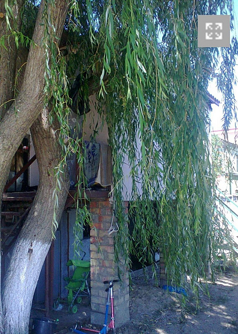 Продам курень в Нерубайском! Нерубайське - фото 3