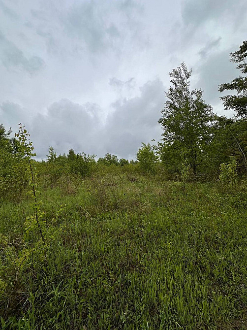 Продаж земельної ділянки 25 соток Ivano-Frankivs'k - photo 4