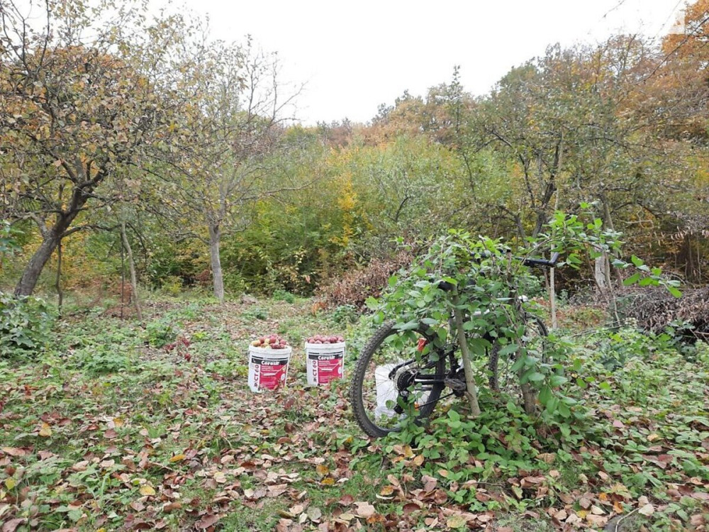 Продаж земельної ділянки 40 соток  - фото 9