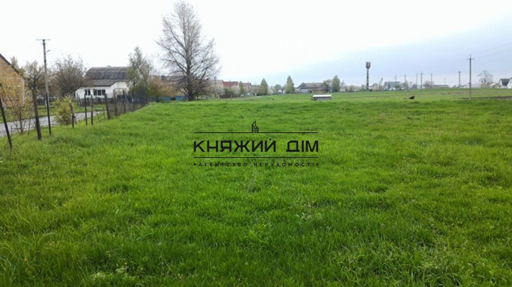 БЕЗ КОМИССИИ!!Продажа дома с участком 40 соток Дом под снос.Бориспольский р-н.№ 227576  - фото 2