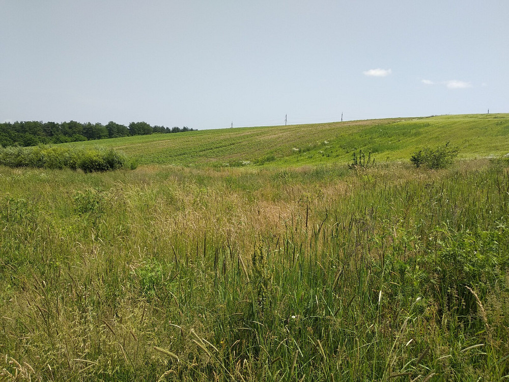 Продаж земельної ділянки 7 соток на Пшенична Vovchynets - photo 7