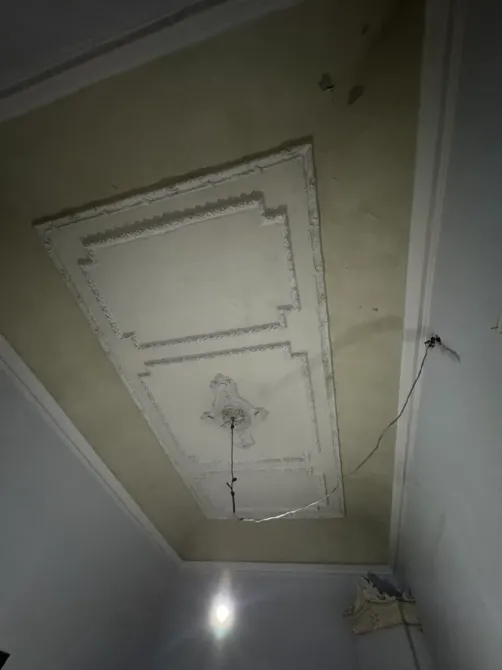 Продаж 3-поверховий Будинок з ділянкою 4 сот 1337 кв.м 7+ кімн. на Нежинська 51 Одеса - фото 8