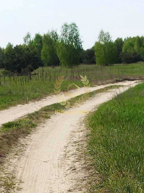 Продаж земельної ділянки 24.99 соток  - фото 7