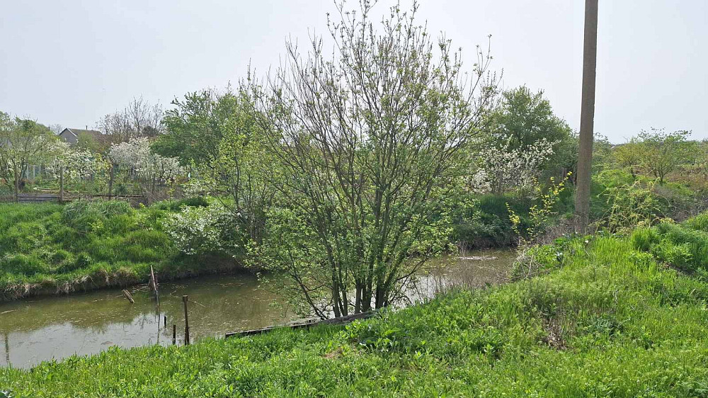 Продам дом в смт Великодолинское Великодолинське - фото 12