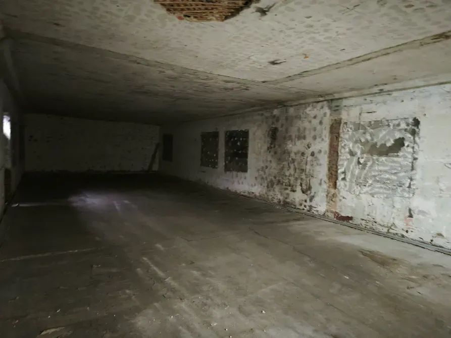 Здається Склад / ангар площа 720 кв.м Великі Лази Вознесенська 2Б Великі Лази - фото 14