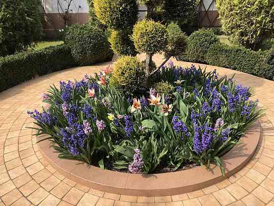 Продаж Будинок на вул. Дачна Odessa