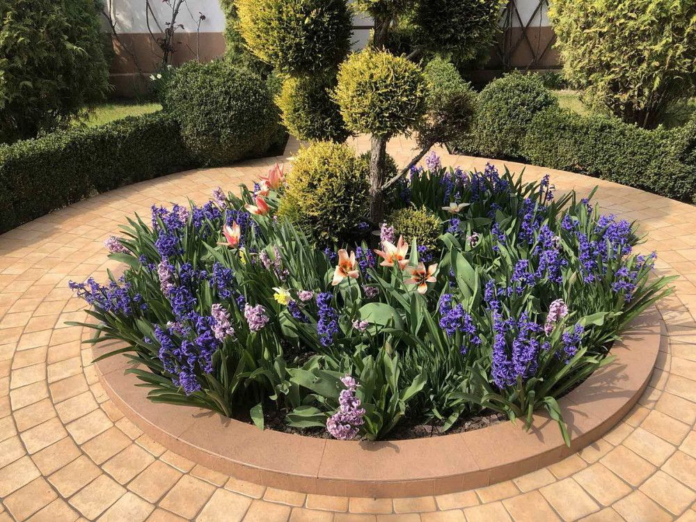 Продаж Будинок на вул. Дачна Odessa - photo 2