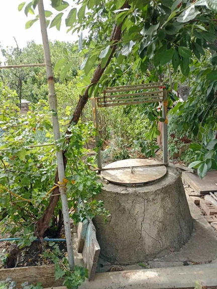 Продам дом-дачу на берегу лимана в Новодофиновском массиве (Лиманский р-н) Нова Дофінівка - фото 16