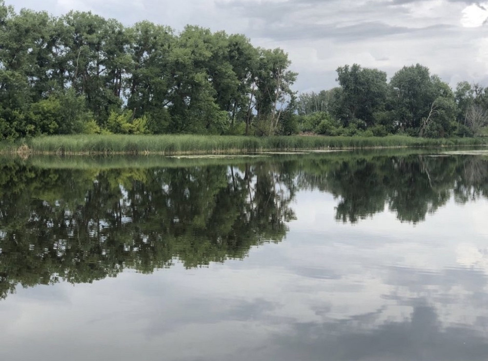 Продаж земельної ділянки 25 соток на Млинище Zhytomyr - photo 2