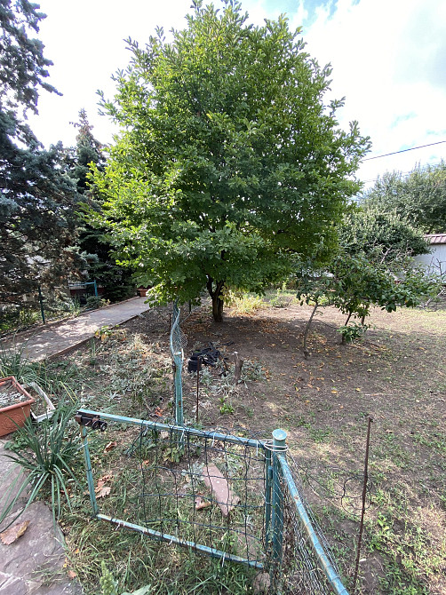 Продам комфортный дом на 9 сотках на Академика Вильямса Одеса - фото 3