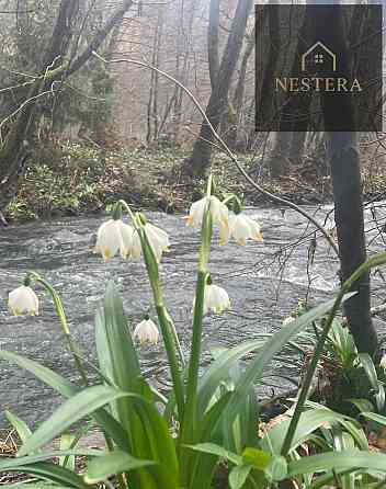 Продаж Будинок Onokivtsi