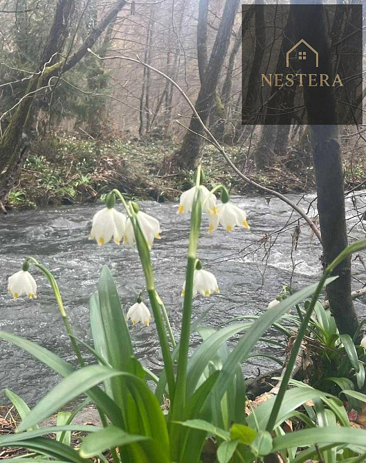 Продаж Будинок Onokivtsi - photo 2