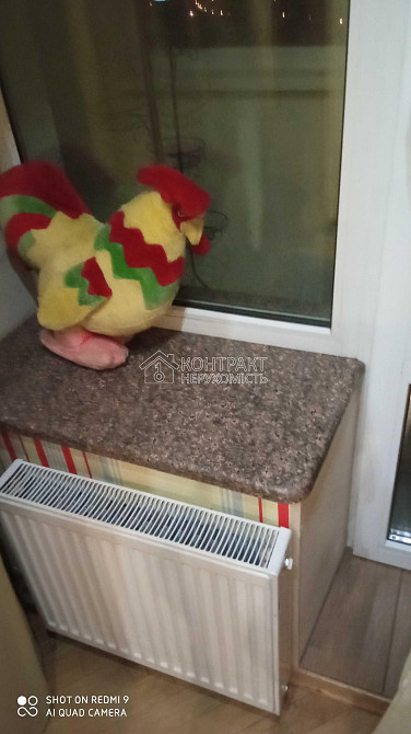 Продаж Квартира 3-кімнатна, 8/9 поверх на вул. Волонтерська Kharkiv - photo 10