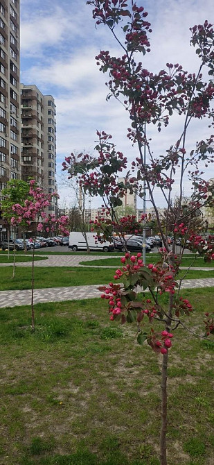 Оренда Квартира 1-кімнатна, 22/25 поверх на Європейського союзу, 41д Київ - фото 15