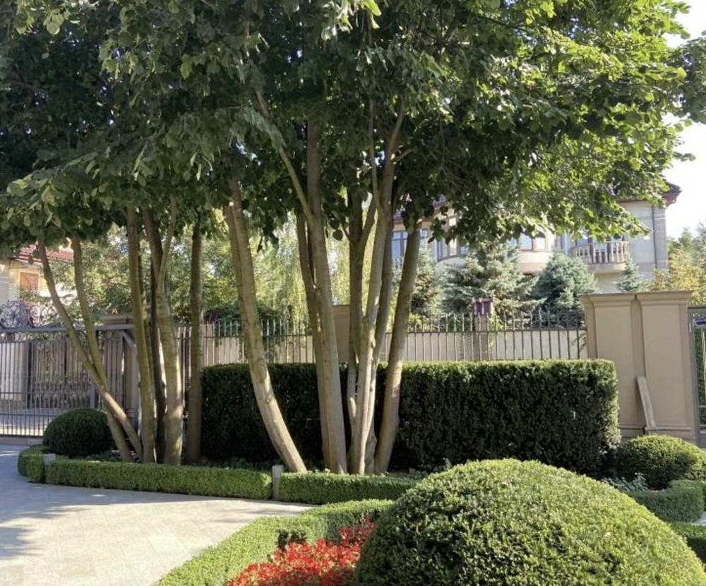 Продаж Будинок на Большой Фонтан / Фонтанская Дорога Одесса - изображение 8