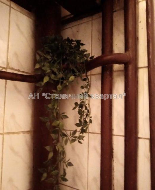 Продаж Будинок 1-кімнатний на Любомира Гузара пр-т, 16 Київ - фото 10