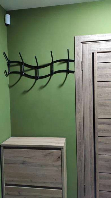 Оренда Квартира 1-кімнатна на ул. Сергея Данченко, 32б Київ - фото 2