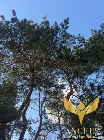 Продаж земельної ділянки Для будівництва приватного житлового будинку площа 9.1 сот H73C+J5, Кіровоградська міськрада, Кіровоградська область, 25000 Кропивницький