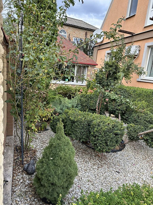 Продаж Будинок Олександрія - фото 18