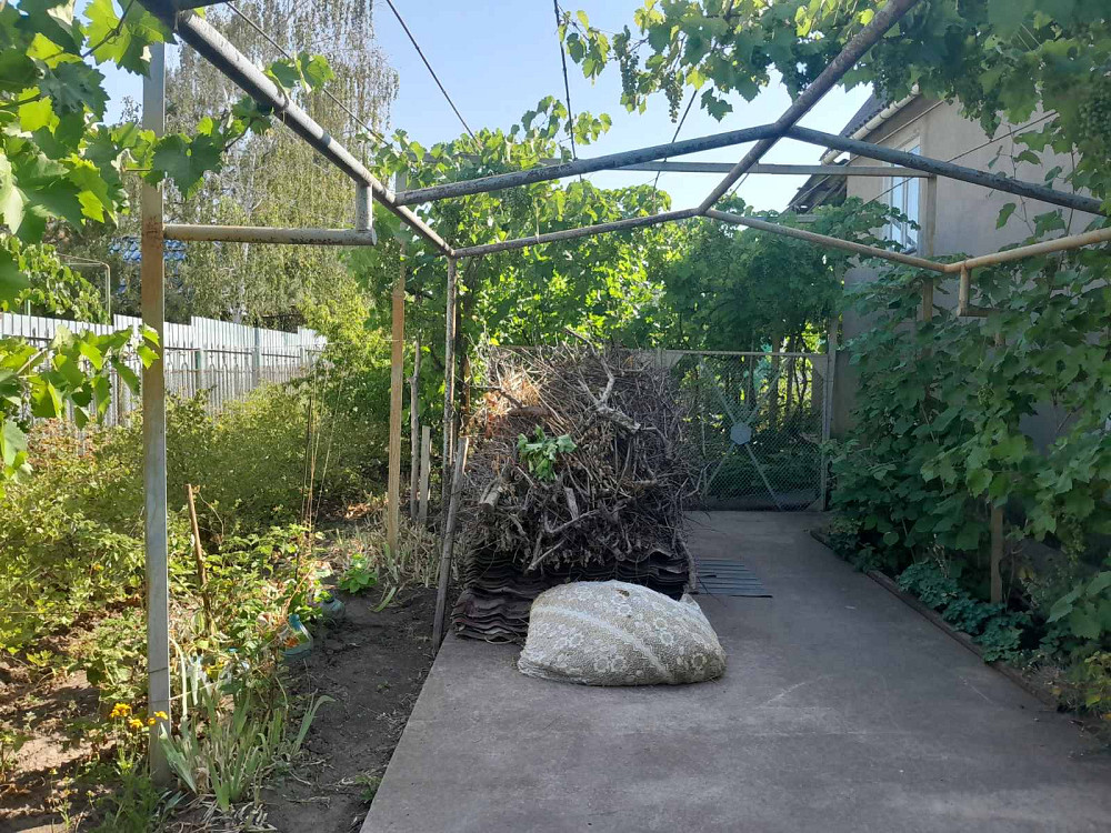 Продам дачу в с.Христиновка возле Хаджибеевского лимана Єгорівка - фото 14