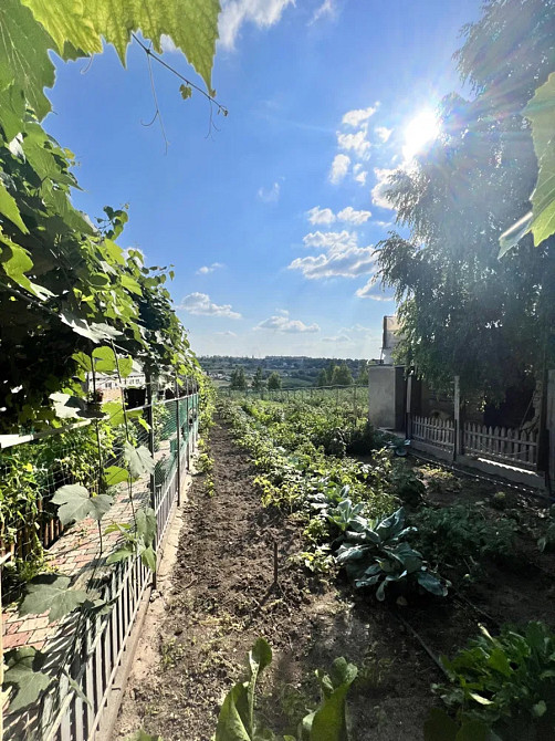 Продам будинок + готовий бізнес. Новоукраїнка Новоукраїнка - фото 14