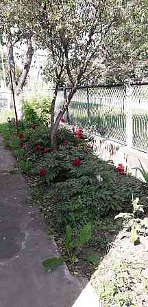 Оренда Будинок 4-кімнатний на вул. Польового Омеляна Тернопіль