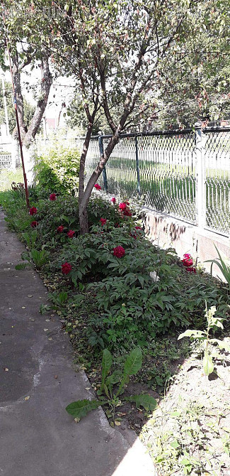 Оренда Будинок 4-кімнатний на вул. Польового Омеляна Тернопіль - фото 2