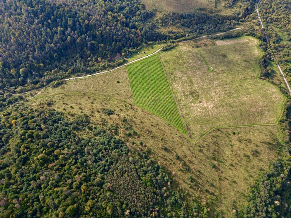 Продаж земельної ділянки 6 га Ямельниця - фото 4