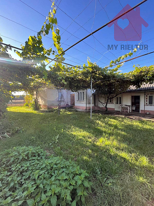 Продаж земельної ділянки 25 соток Kinchesh - photo 8