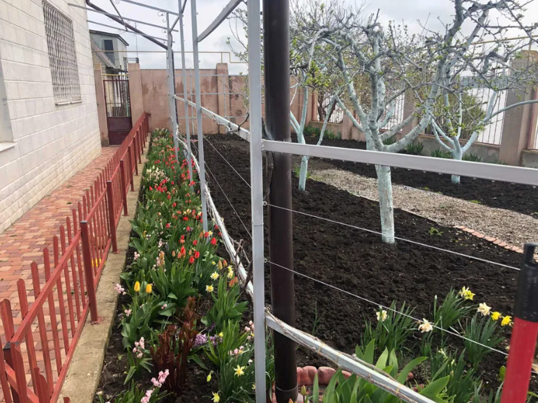 Продам 2-х поверховий будинок в с.Олександрівка (Лиманський р-н, 5 км від Одеси) Dobrooleksandrivka - photo 19