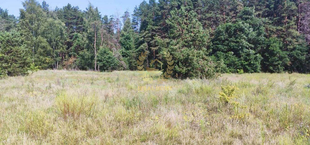 Продаж земельної ділянки 20 соток на Садовая ул., 52 Yasnohorodka (Vyshhorodskyi raion) - photo 3