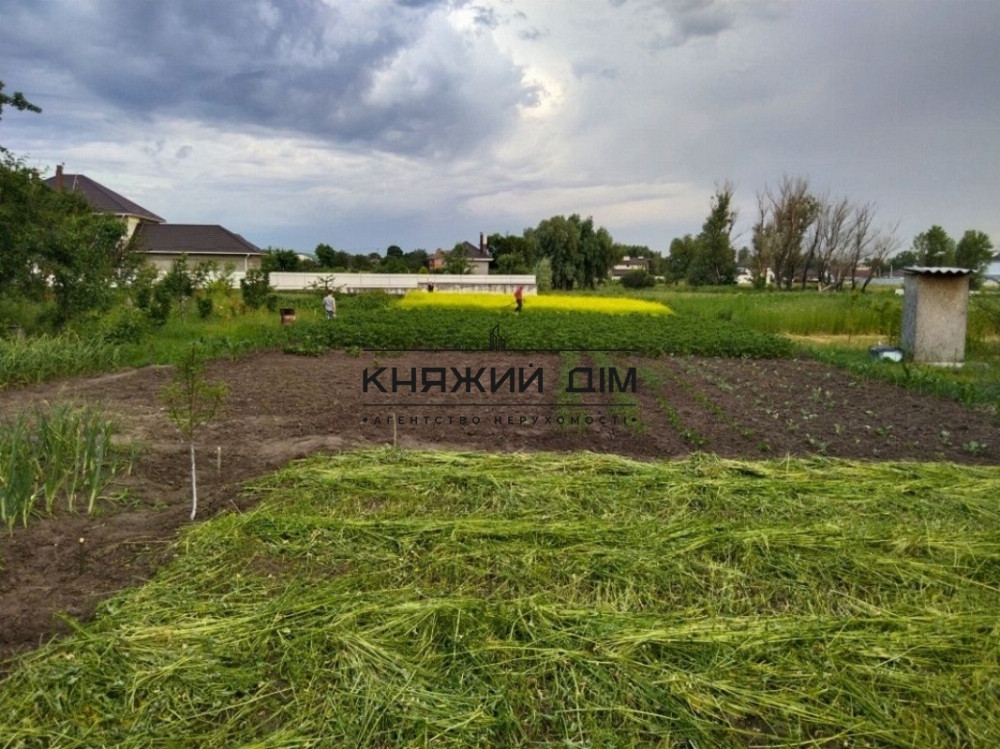 Продаж 1-поверховий Будинок  43 кв.м   Погребы - фото 5