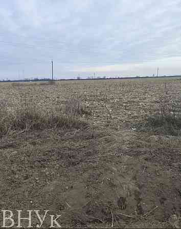 Продаж земельної ділянки 2.42 га на Свободи Uzhhorod