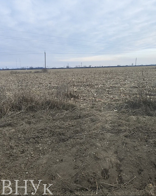 Продаж земельної ділянки 2.42 га на Свободи Uzhhorod - photo 6