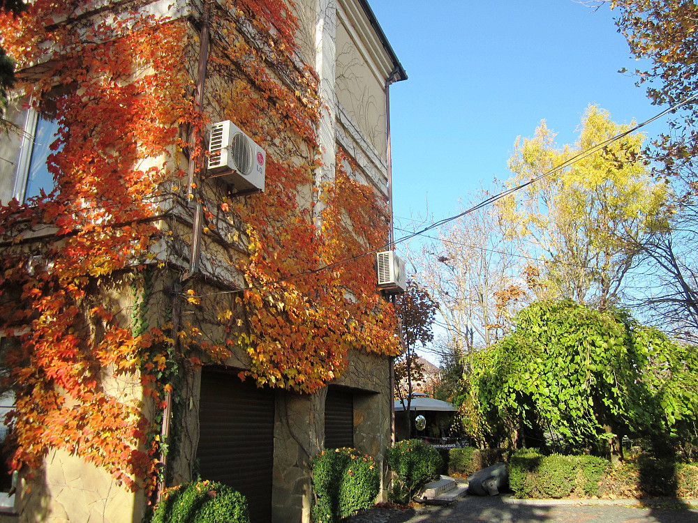 Усадьба с панорамным видом на море в Крыжановке Крижанівка (Комінтернівський район) - фото 3