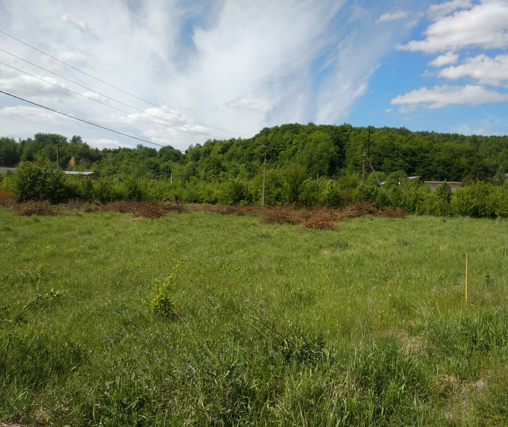 Продаж земельної ділянки 15 соток на урочище Оболонь  - photo 8