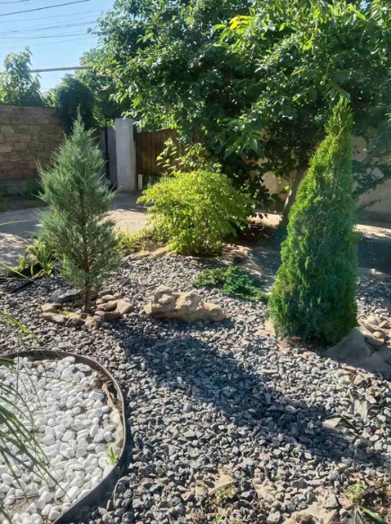 Продам дом в центре Фонтанки Фонтанка - фото 17