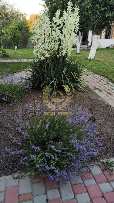 продам будинок старі безрадичі  - фото 20