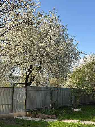 Продам будинок, Калинівка Kalynivka (Bakhmatskyi raion)