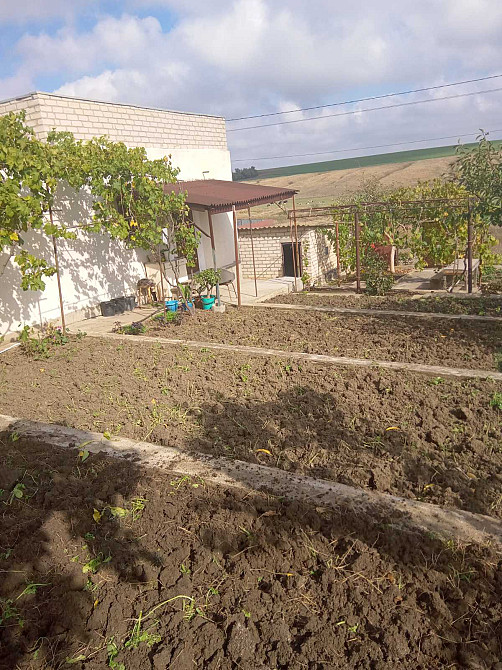 Продаж Будинок 2-кімнатний на ул. Ромашковая (Новые дачи), 3086 Svitle - photo 1