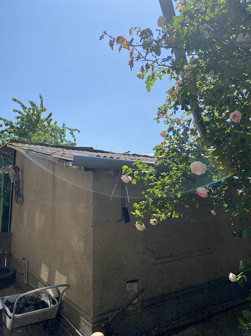 Дом в Лесках вблизи моря на 10 сотках Ліски (Комінтернівський район) - фото 16