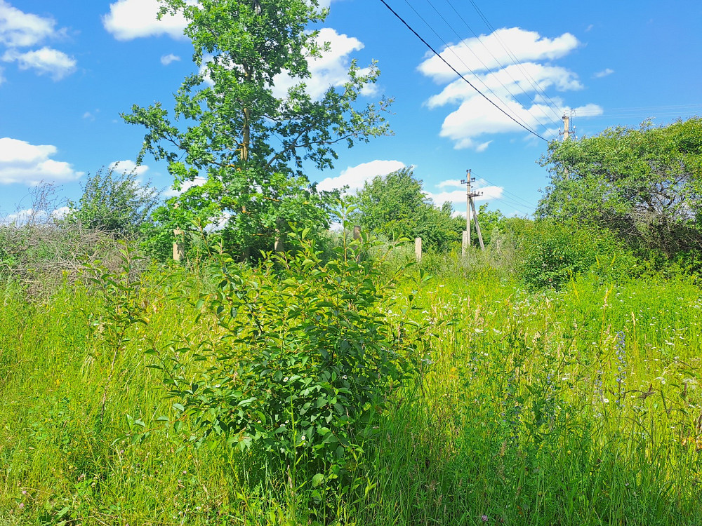 Продаж земельної ділянки 11 соток Pidhorodne - photo 8