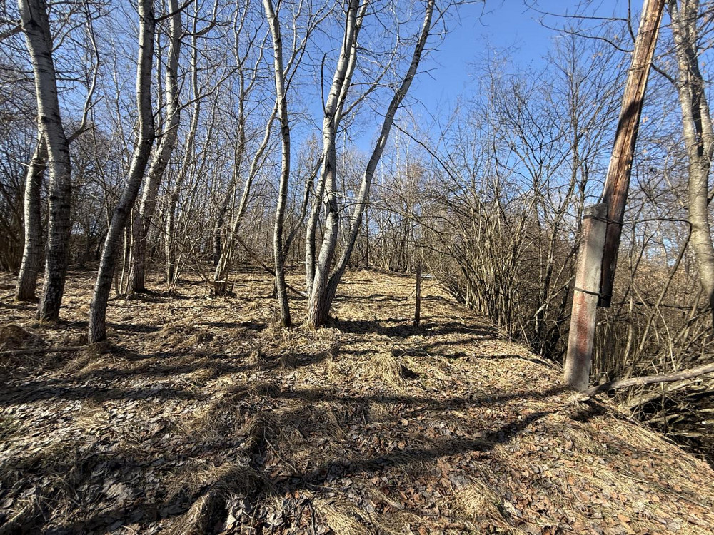 Продаж земельної ділянки 98 соток Verkhnie Synovydne - photo 13