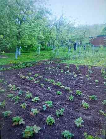 Продаж Будинок на Річна, 24 Krasnopillya