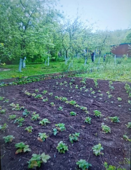 Продаж Будинок на Річна, 24 Krasnopillya - photo 3