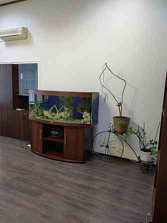 Продаж комерційне приміщення на ул. Пастера, 24 приміщень - 3, поверх - 1 Одеса