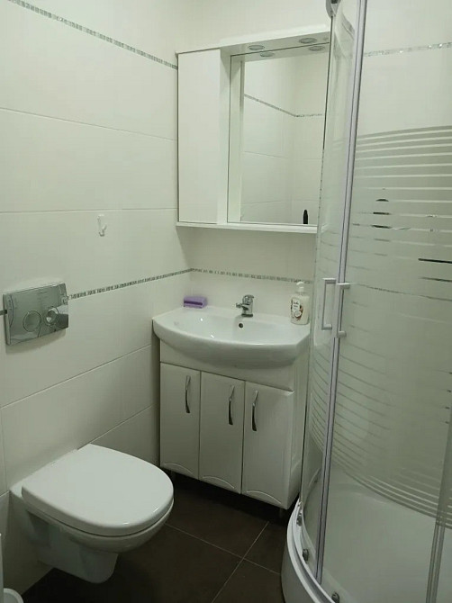 Оренда Квартира 1-кімнатна, 1/4 поверх на вул. Дерегуса Kiev - photo 3