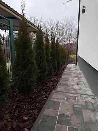 Продаж Будинок 3-кімнатний на вул. Шевченка 