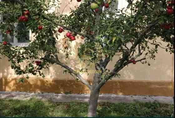 Продам будинок в селі Черкас Черкас